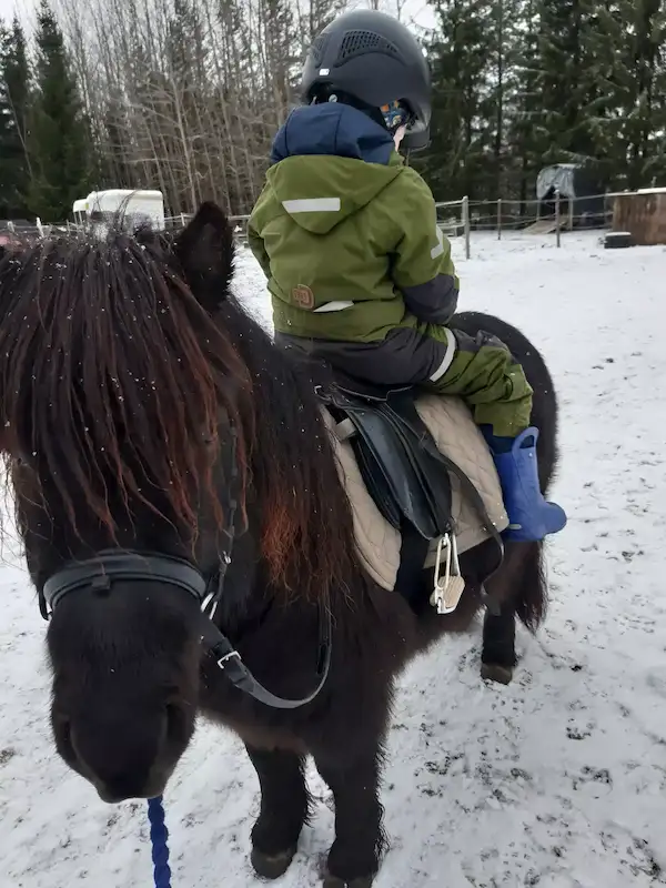 Lapsi ponin selässä